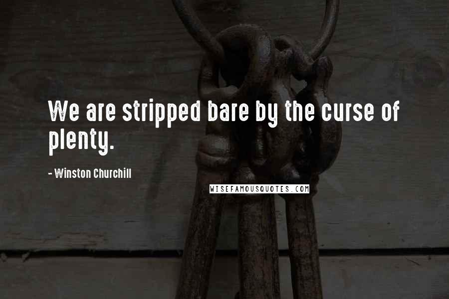 Winston Churchill Quotes: We are stripped bare by the curse of plenty.