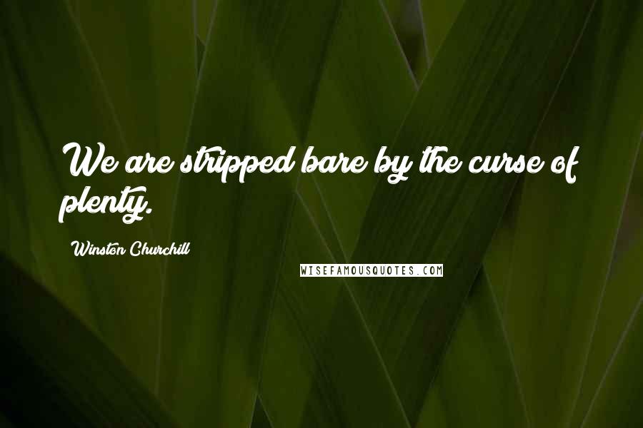 Winston Churchill Quotes: We are stripped bare by the curse of plenty.