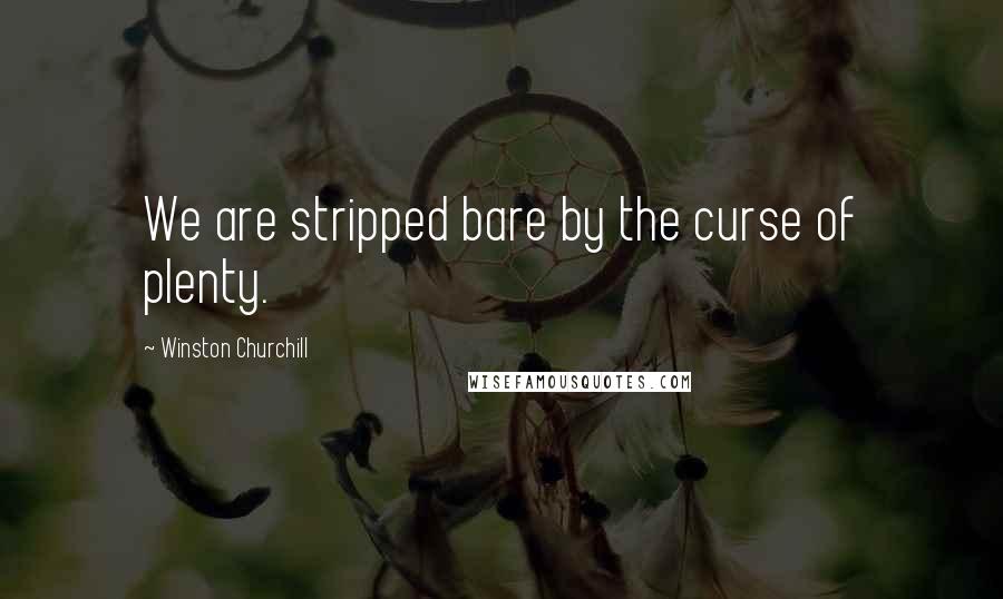 Winston Churchill Quotes: We are stripped bare by the curse of plenty.
