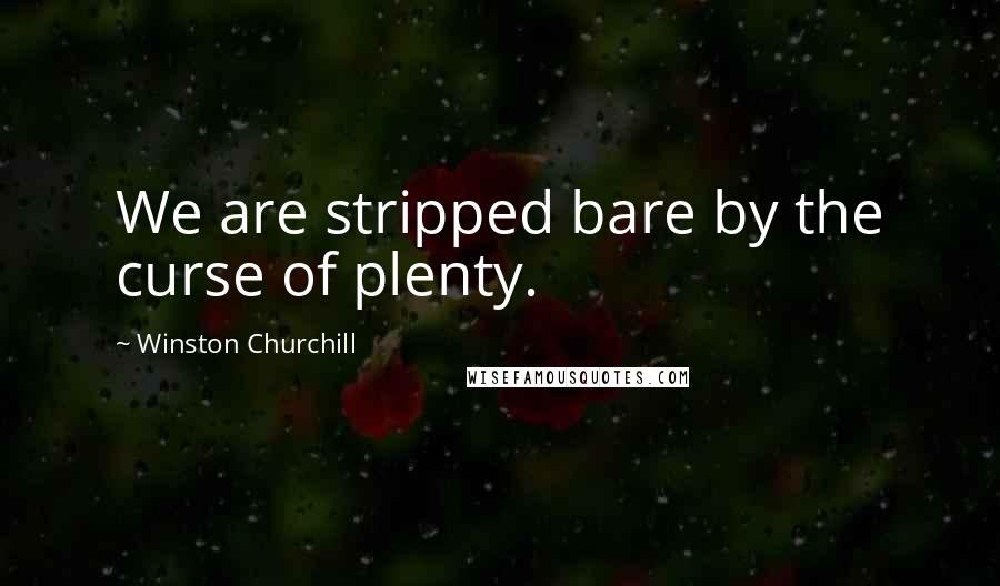 Winston Churchill Quotes: We are stripped bare by the curse of plenty.