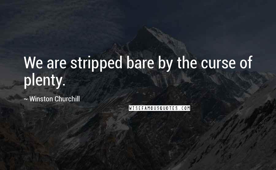 Winston Churchill Quotes: We are stripped bare by the curse of plenty.