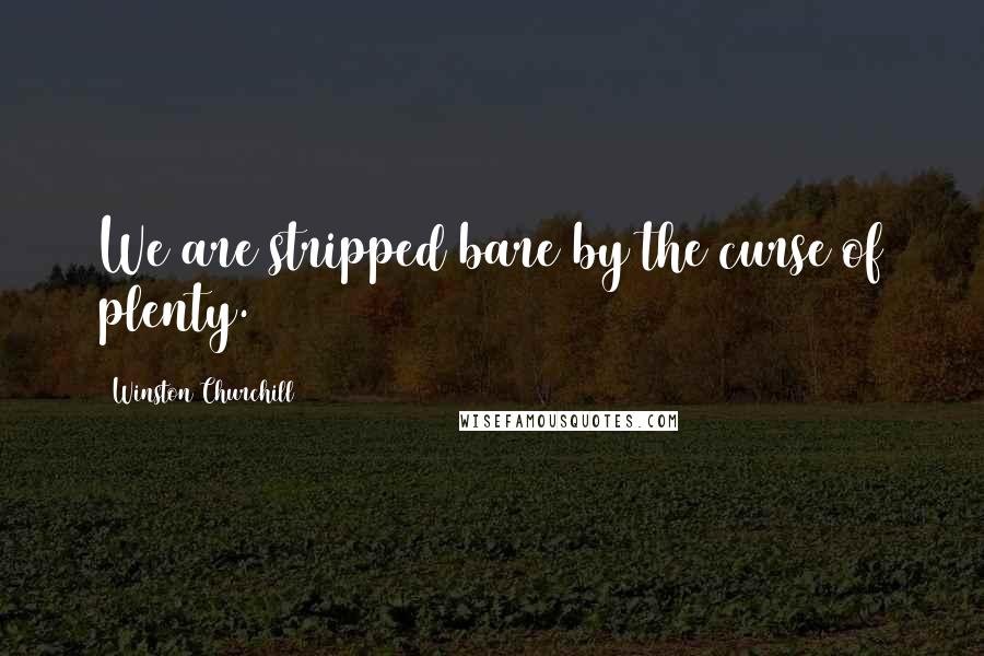 Winston Churchill Quotes: We are stripped bare by the curse of plenty.