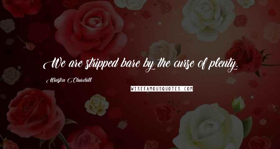 Winston Churchill Quotes: We are stripped bare by the curse of plenty.