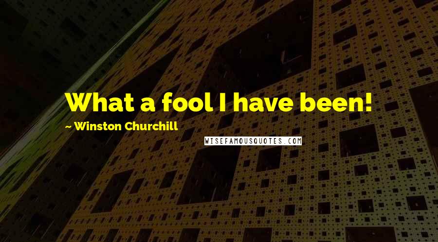 Winston Churchill Quotes: What a fool I have been!