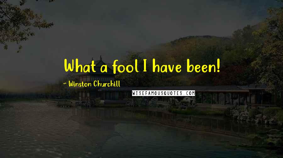 Winston Churchill Quotes: What a fool I have been!