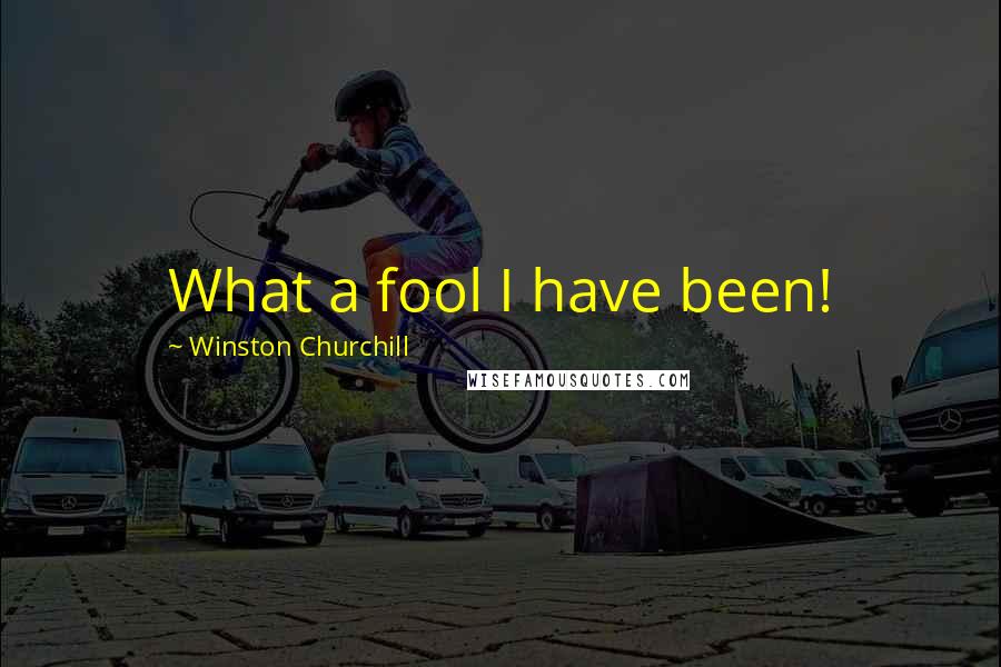 Winston Churchill Quotes: What a fool I have been!