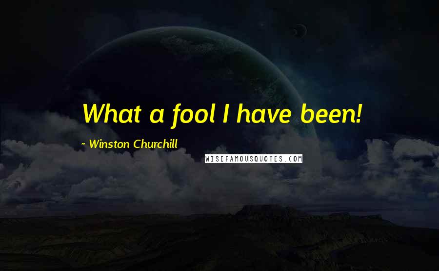 Winston Churchill Quotes: What a fool I have been!