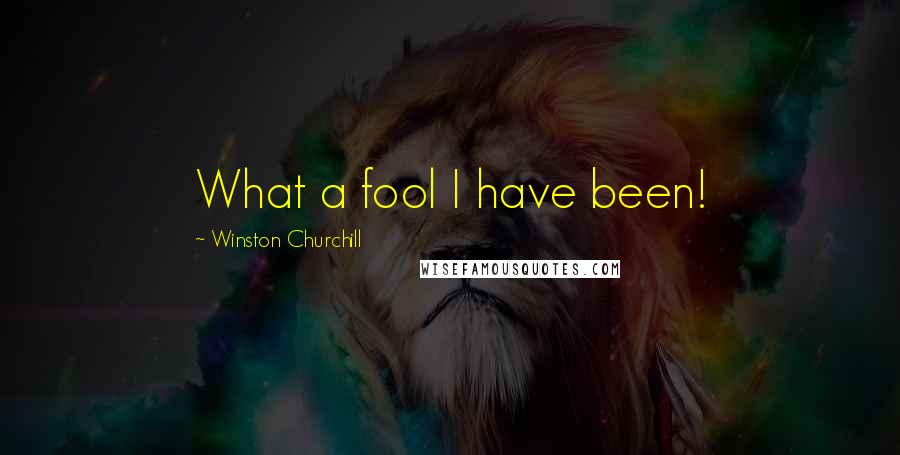 Winston Churchill Quotes: What a fool I have been!