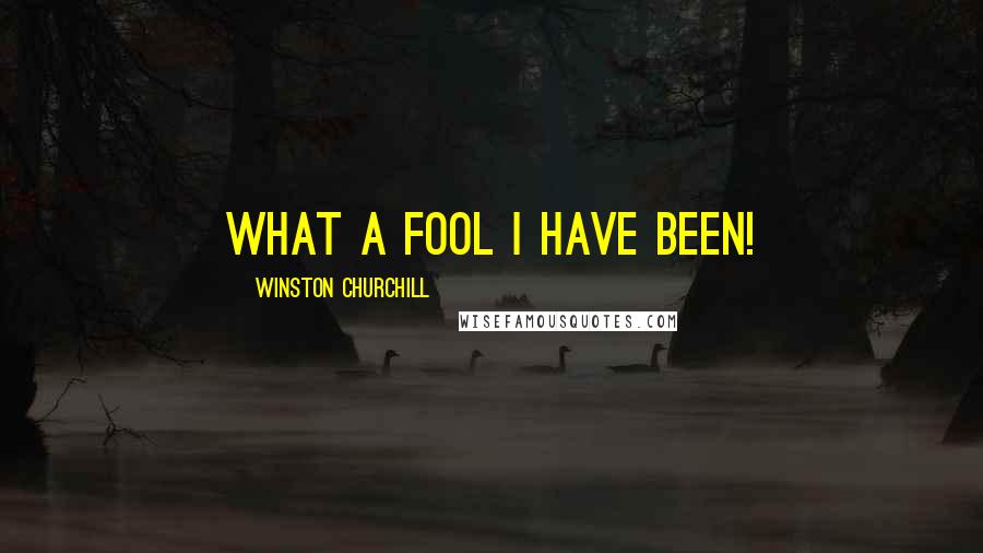 Winston Churchill Quotes: What a fool I have been!