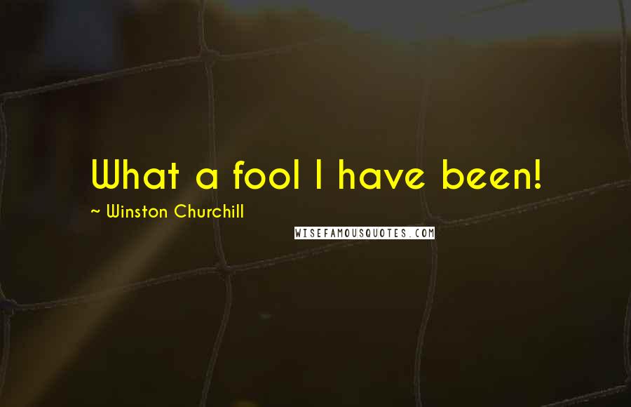 Winston Churchill Quotes: What a fool I have been!