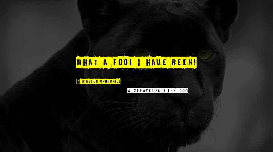 Winston Churchill Quotes: What a fool I have been!