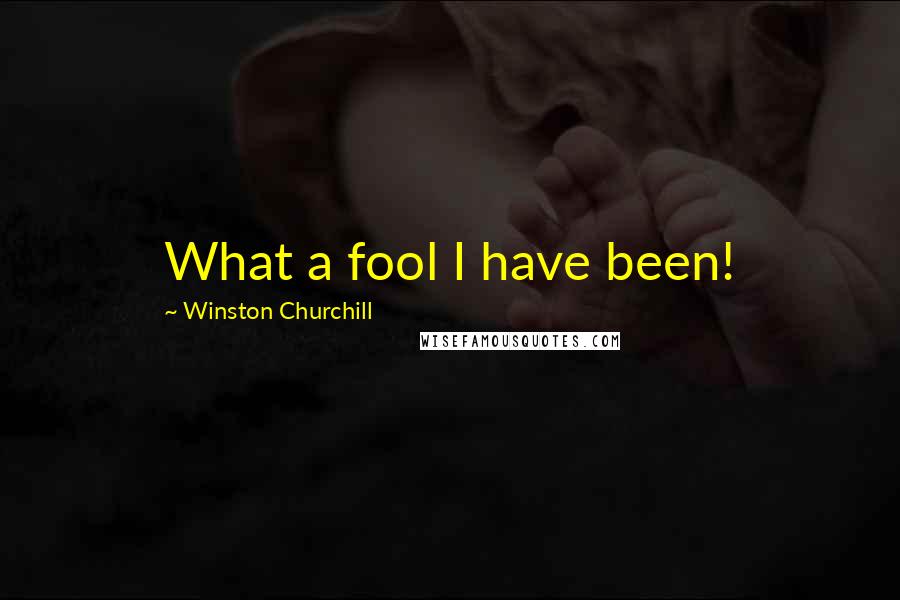 Winston Churchill Quotes: What a fool I have been!