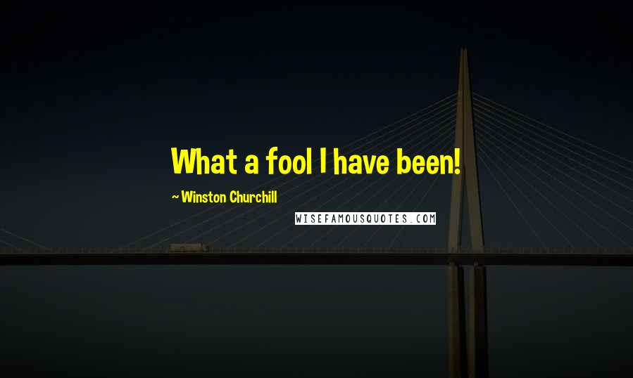 Winston Churchill Quotes: What a fool I have been!