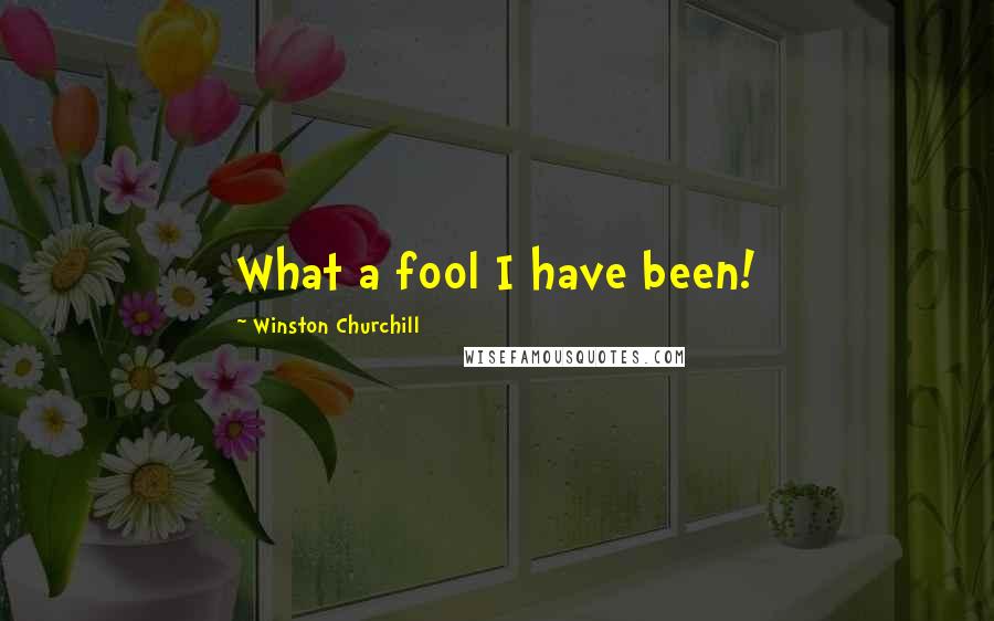 Winston Churchill Quotes: What a fool I have been!