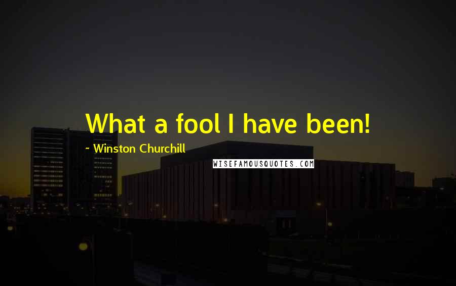 Winston Churchill Quotes: What a fool I have been!