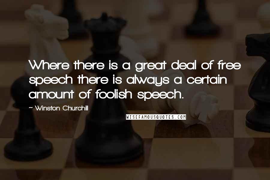 Winston Churchill Quotes: Where there is a great deal of free speech there is always a certain amount of foolish speech.