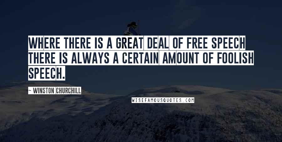Winston Churchill Quotes: Where there is a great deal of free speech there is always a certain amount of foolish speech.