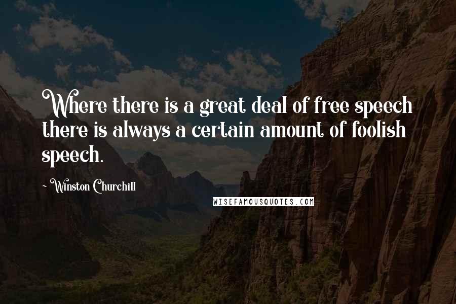 Winston Churchill Quotes: Where there is a great deal of free speech there is always a certain amount of foolish speech.