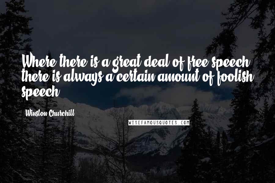 Winston Churchill Quotes: Where there is a great deal of free speech there is always a certain amount of foolish speech.