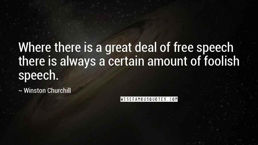 Winston Churchill Quotes: Where there is a great deal of free speech there is always a certain amount of foolish speech.