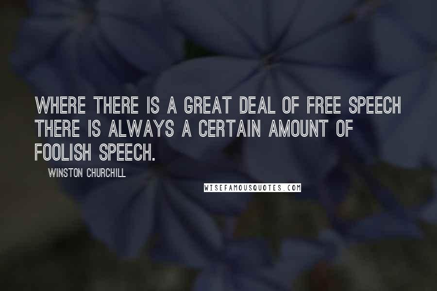 Winston Churchill Quotes: Where there is a great deal of free speech there is always a certain amount of foolish speech.