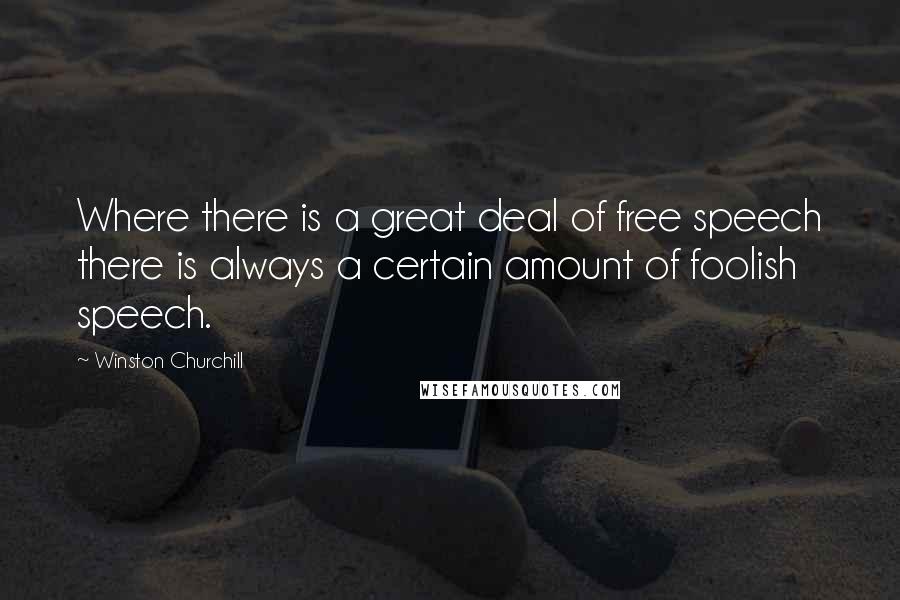 Winston Churchill Quotes: Where there is a great deal of free speech there is always a certain amount of foolish speech.