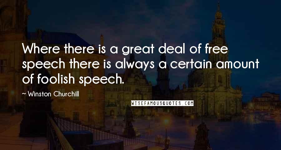 Winston Churchill Quotes: Where there is a great deal of free speech there is always a certain amount of foolish speech.