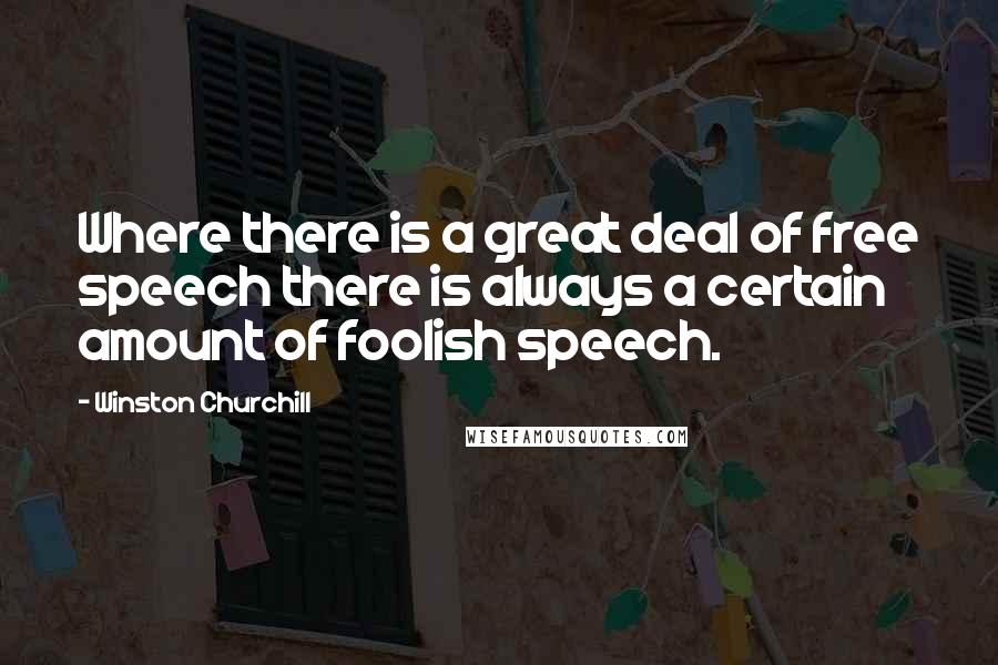 Winston Churchill Quotes: Where there is a great deal of free speech there is always a certain amount of foolish speech.