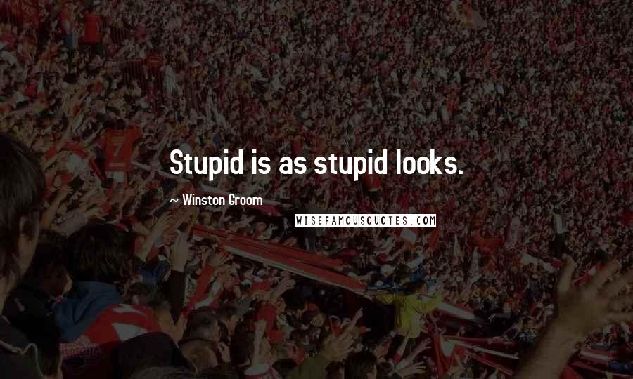 Winston Groom Quotes: Stupid is as stupid looks.