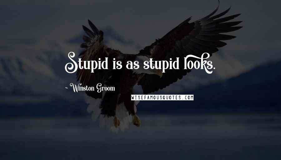 Winston Groom Quotes: Stupid is as stupid looks.