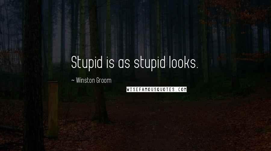 Winston Groom Quotes: Stupid is as stupid looks.