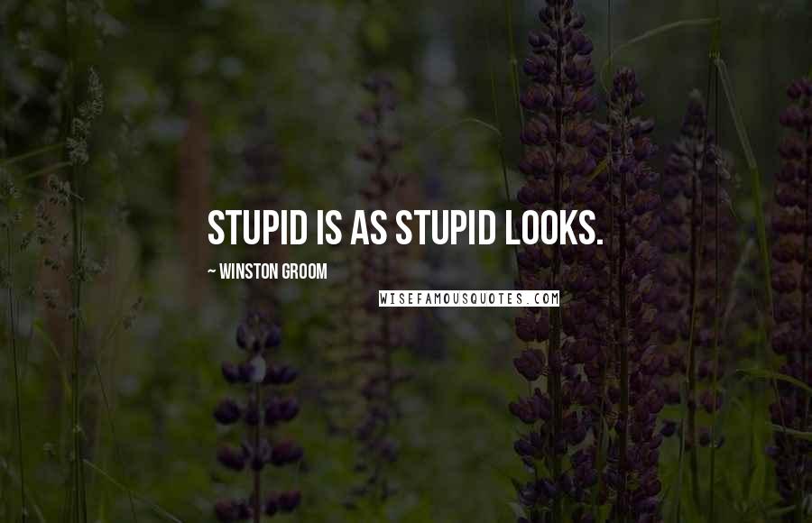 Winston Groom Quotes: Stupid is as stupid looks.