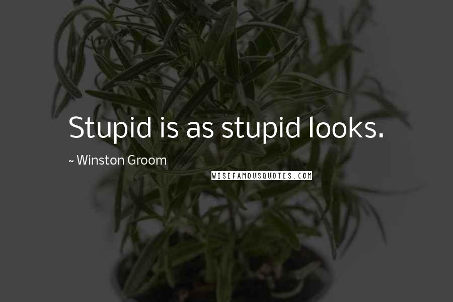 Winston Groom Quotes: Stupid is as stupid looks.