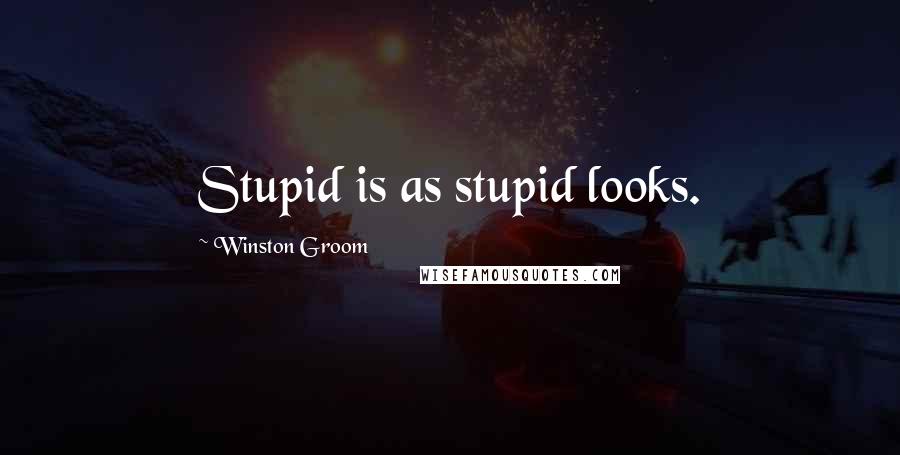 Winston Groom Quotes: Stupid is as stupid looks.