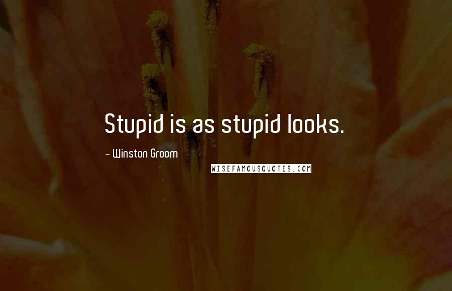 Winston Groom Quotes: Stupid is as stupid looks.