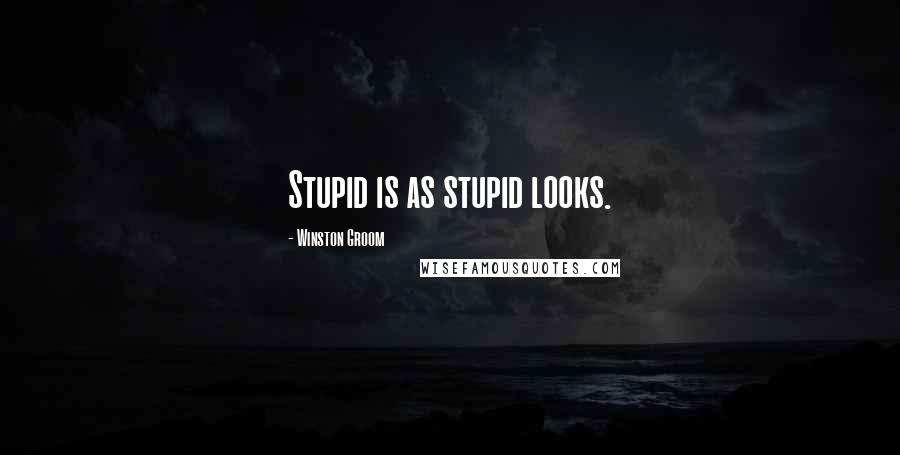 Winston Groom Quotes: Stupid is as stupid looks.