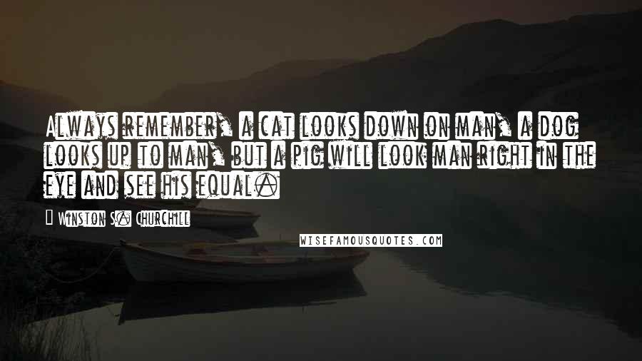 Winston S. Churchill Quotes: Always remember, a cat looks down on man, a dog looks up to man, but a pig will look man right in the eye and see his equal.