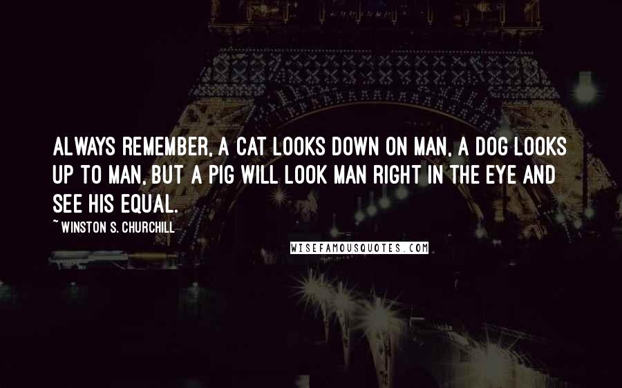 Winston S. Churchill Quotes: Always remember, a cat looks down on man, a dog looks up to man, but a pig will look man right in the eye and see his equal.