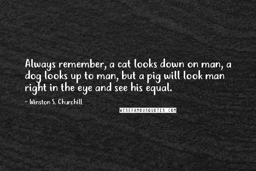 Winston S. Churchill Quotes: Always remember, a cat looks down on man, a dog looks up to man, but a pig will look man right in the eye and see his equal.