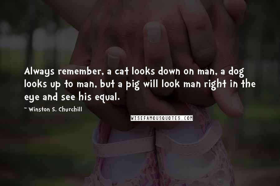 Winston S. Churchill Quotes: Always remember, a cat looks down on man, a dog looks up to man, but a pig will look man right in the eye and see his equal.