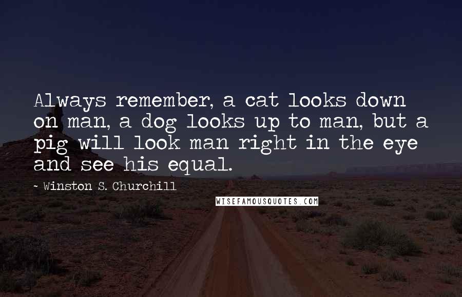 Winston S. Churchill Quotes: Always remember, a cat looks down on man, a dog looks up to man, but a pig will look man right in the eye and see his equal.