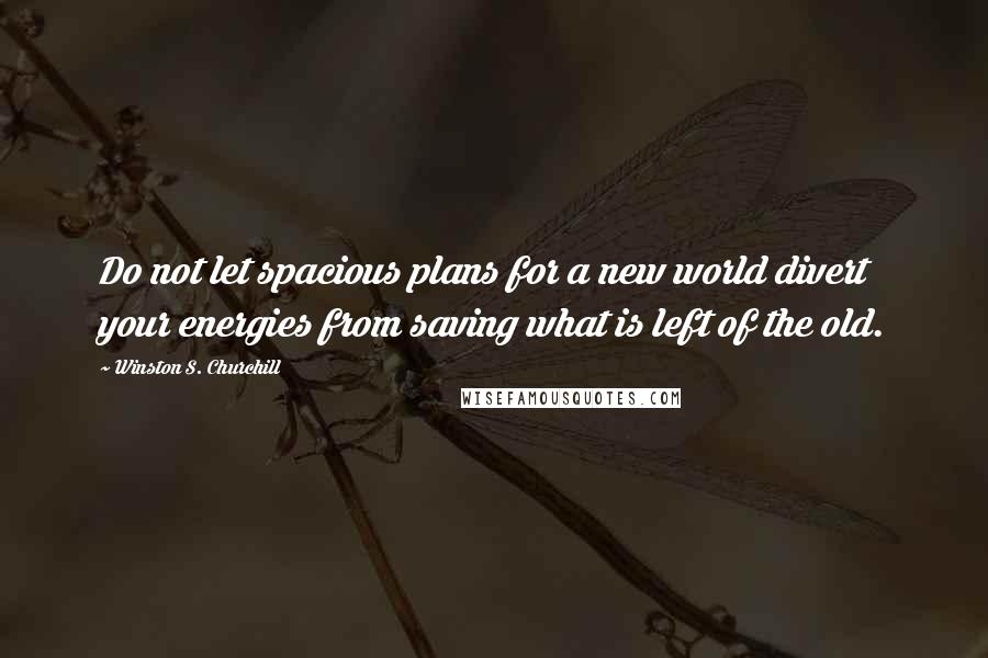 Winston S. Churchill Quotes: Do not let spacious plans for a new world divert your energies from saving what is left of the old.