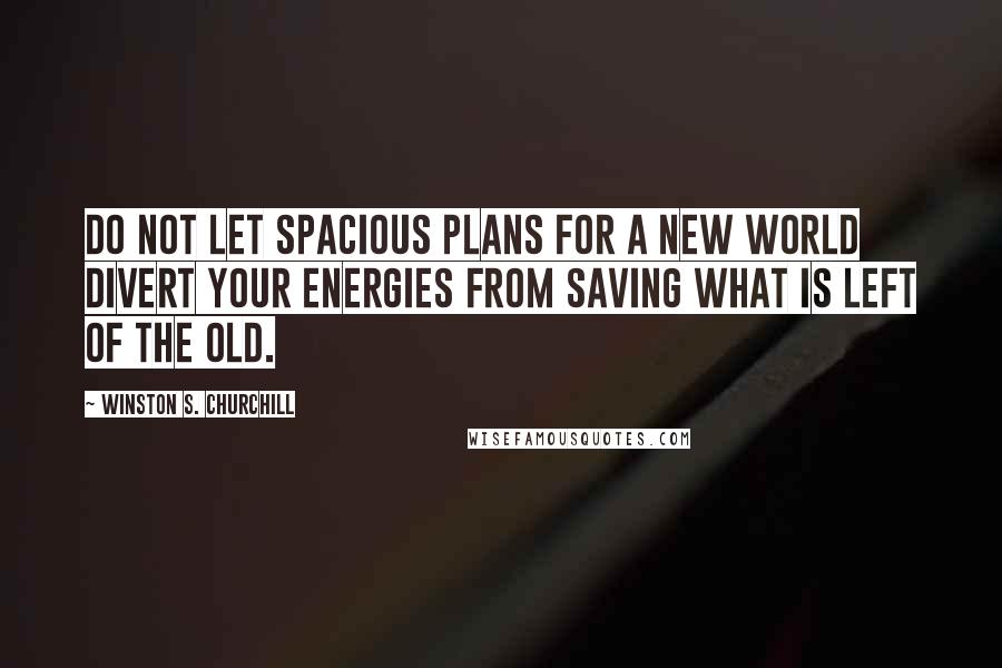 Winston S. Churchill Quotes: Do not let spacious plans for a new world divert your energies from saving what is left of the old.