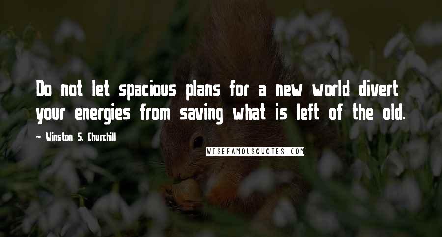 Winston S. Churchill Quotes: Do not let spacious plans for a new world divert your energies from saving what is left of the old.