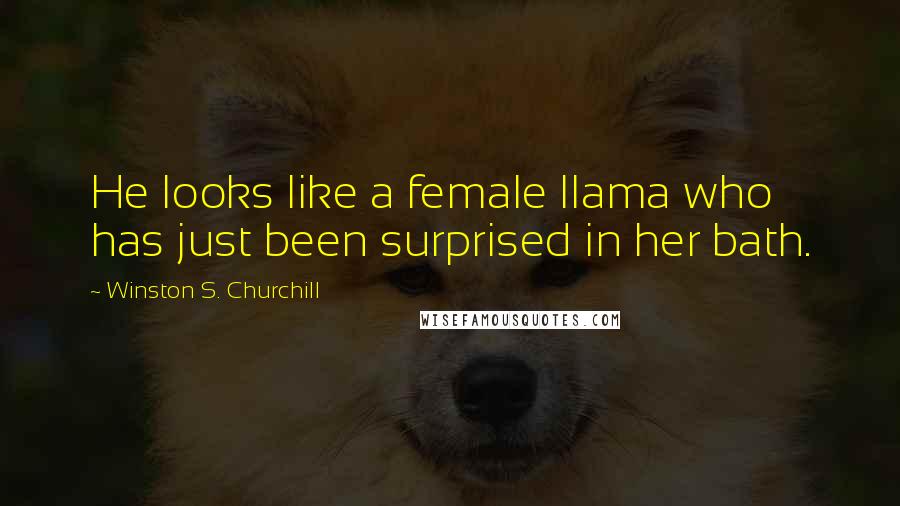 Winston S. Churchill Quotes: He looks like a female llama who has just been surprised in her bath.