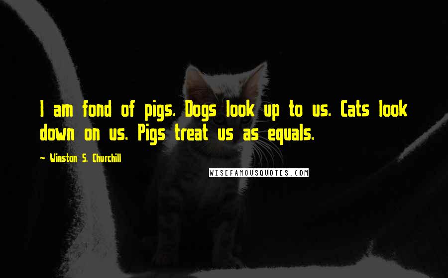 Winston S. Churchill Quotes: I am fond of pigs. Dogs look up to us. Cats look down on us. Pigs treat us as equals.