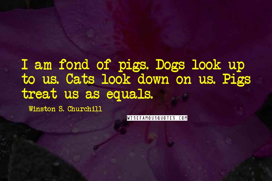 Winston S. Churchill Quotes: I am fond of pigs. Dogs look up to us. Cats look down on us. Pigs treat us as equals.