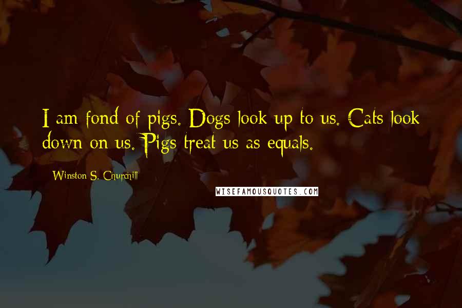 Winston S. Churchill Quotes: I am fond of pigs. Dogs look up to us. Cats look down on us. Pigs treat us as equals.