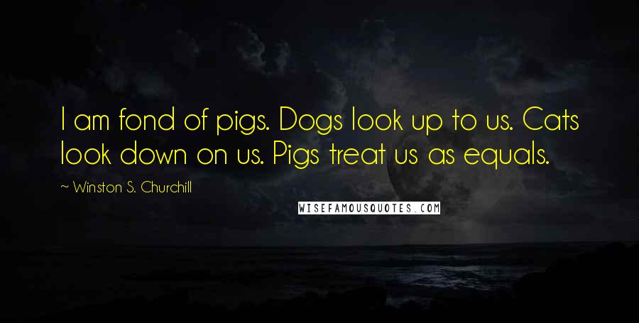 Winston S. Churchill Quotes: I am fond of pigs. Dogs look up to us. Cats look down on us. Pigs treat us as equals.