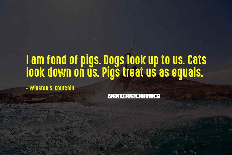 Winston S. Churchill Quotes: I am fond of pigs. Dogs look up to us. Cats look down on us. Pigs treat us as equals.